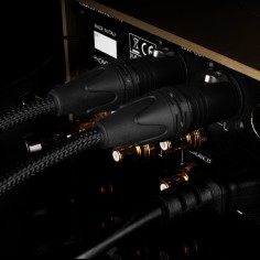 Gold Note FIRENZE PLUS (XLR) 1m