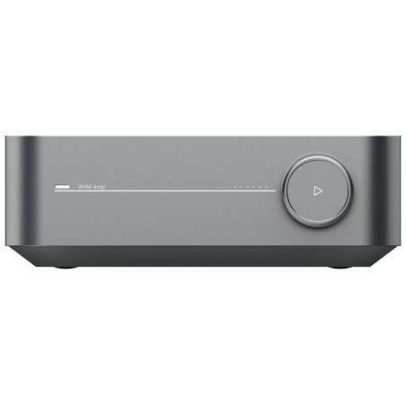 WiiM WiiM Amp Space grey