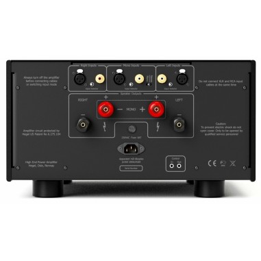 Hegel H30A - Amplificatore Finale di Riferimento