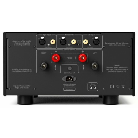 Hegel H30A - Amplificatore Finale di Riferimento