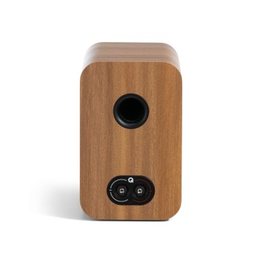 Q Acoustics Q 3020C pin oak