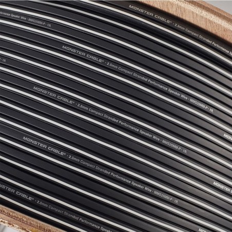 MONSTER MMS25MM-P500