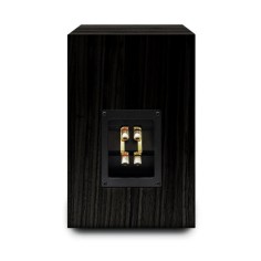 AUDIO NOTE AX-ONE / I BLACK ASH - Coppia diffusori da supporto 2