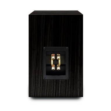 AUDIO NOTE AX-ONE / I BLACK ASH - Coppia diffusori da supporto