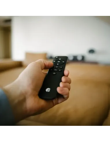 Pro-Ject STEREO BOX E Silver