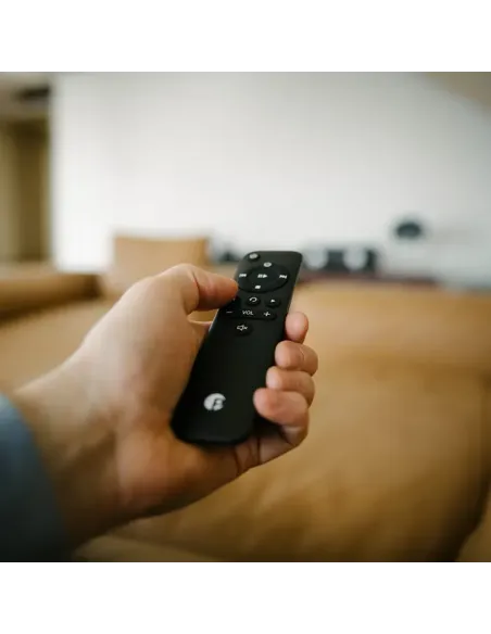 Pro-Ject STEREO BOX E Silver