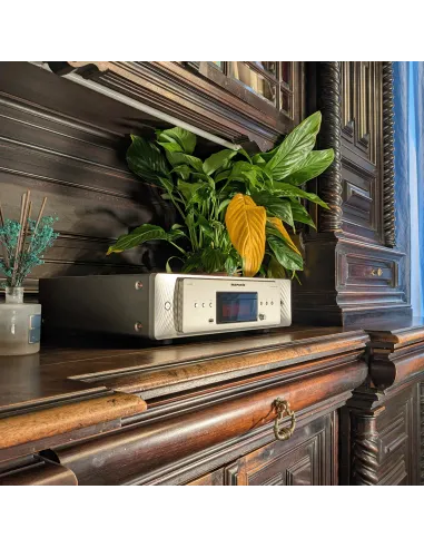 (DEMO) Marantz CD60 - Silver/Gold