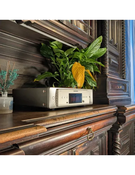 (DEMO) Marantz CD60 - Silver/Gold