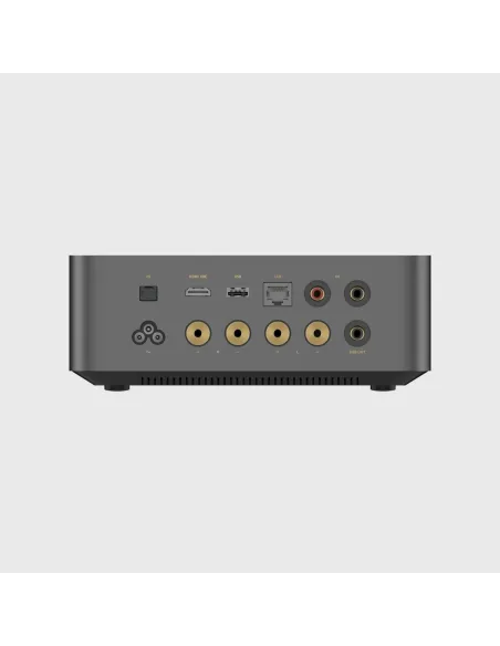 WiiM Amp Ultra - Amplificatore Integrato / Streamer di Rete