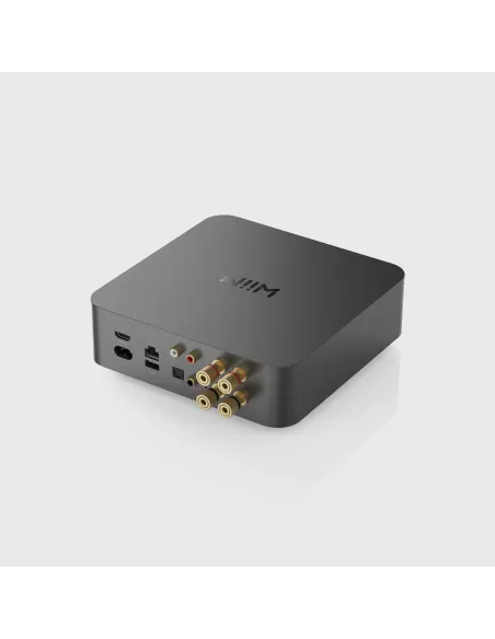 WiiM WiiM Amp Pro