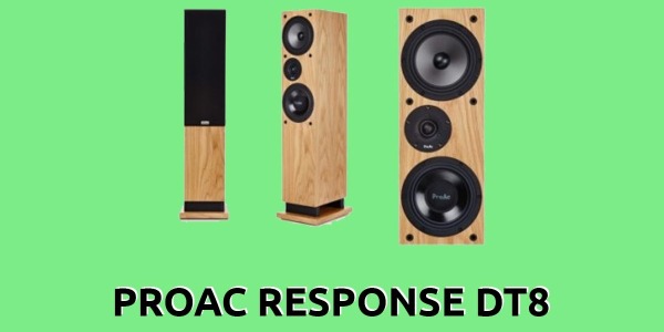 Recensione dei diffusori ProAc D8: specifiche, prezzo, come suonano